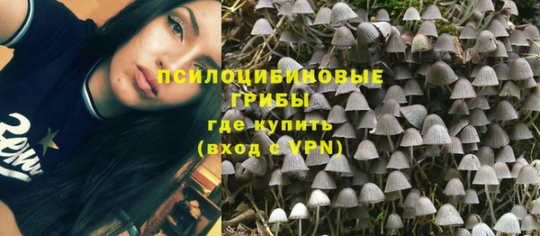прущий лед Лиски