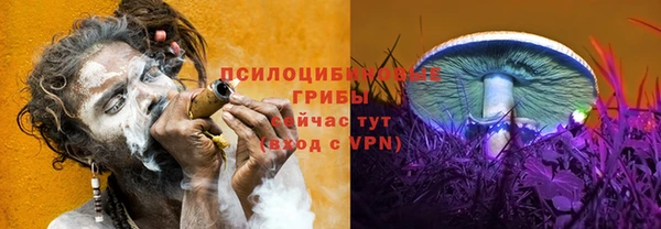 прущий лед Лиски