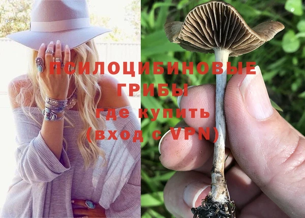 бутират Магас